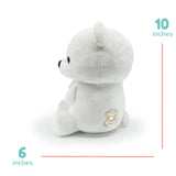 Bellzi Poli the Polar Bear