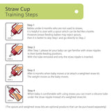 Grosmimi PPSU Dark Series Straw Cup 300 ml