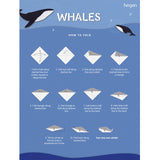 Hegen Wonder Blue Collection