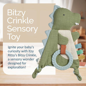 Itzy Ritzy Bitzy Crinkle™ Sensory Crinkle Toy with Teether - Dino