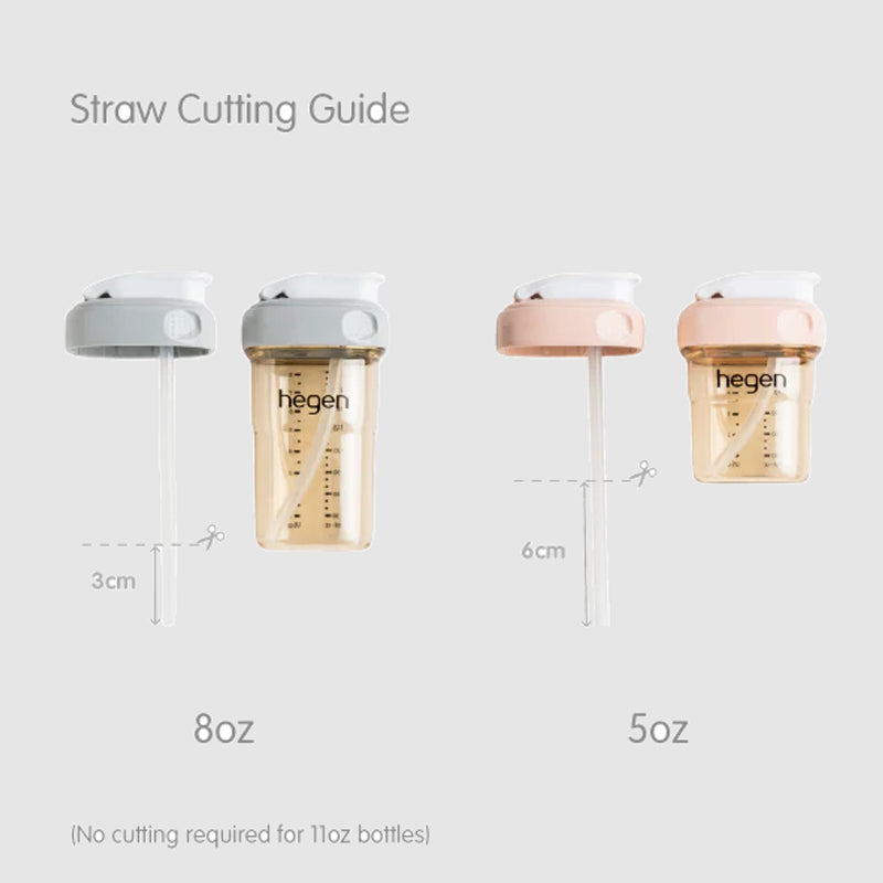 Hegen Straw Spout