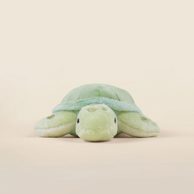 Bellzi Mini Sea Torti the Sea Turtle