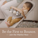 UPPAbaby Mira 2 in 1 Bouncer and Seat