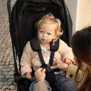Nuna Flex System Stroller Seat