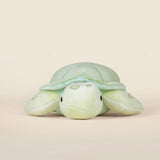 Bellzi Sea Torti the Sea Turtle