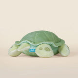 Bellzi Sea Torti the Sea Turtle