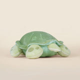 Bellzi Sea Torti the Sea Turtle