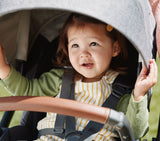 UPPAbaby Cruz V3 Stroller