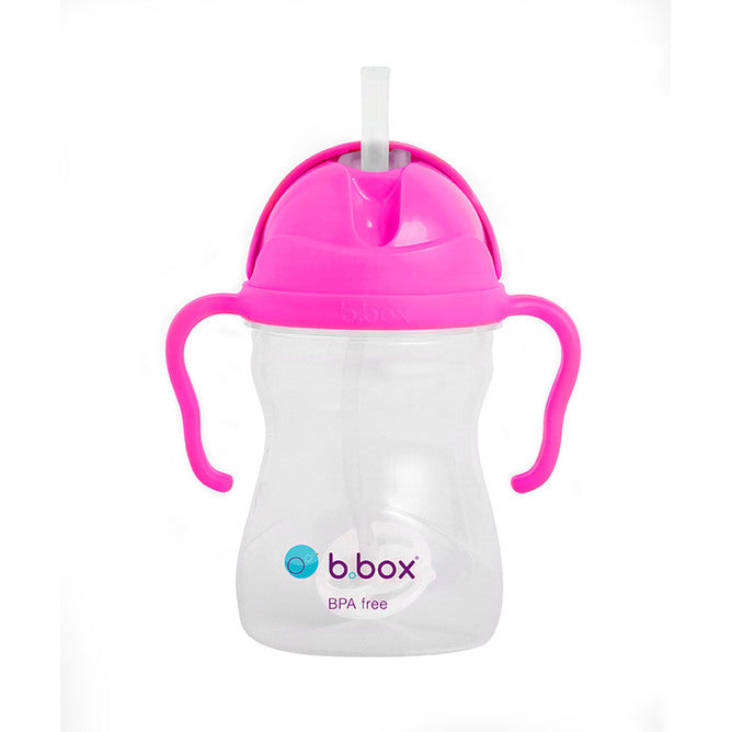 b.box Sippy Cup Replacement Straws and Cleaner